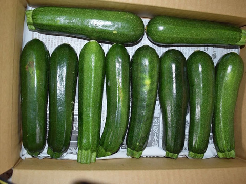 規格外、ズッキーニと枝豆のセット