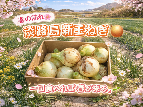 【淡路島直送】春を告げる新玉ねぎ「ボルト」/極上の甘さと瑞々しさ　10kg（サイズ混合）