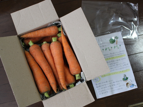 【農薬不使用】新春！皮まで甘い爽やかニンジン  10本〜13本以上2kg
