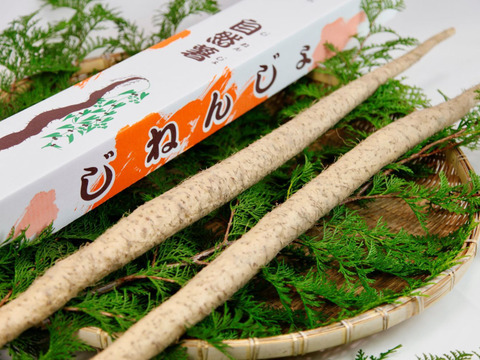 【贈答用】絶品とろろ！自然薯「夢とろろ」 1本もの1Kgセット（2-3本入）