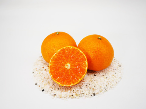 はまやん様専用セット