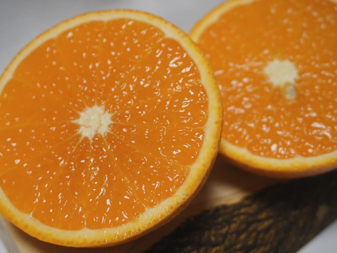 【母の日ギフト】『果汁溢れ出す清見オレンジ』約6〜10玉入り サイズ混合