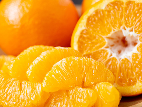 【柑橘食べ比べ】伊予柑＋デコ（不知火）各２㎏（合計4㎏） ※2月発送開始