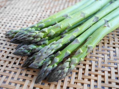 【お試し価格】群馬の高原農家がつくるみずみずしい優しい甘さのアスパラガス（サイズミックス）