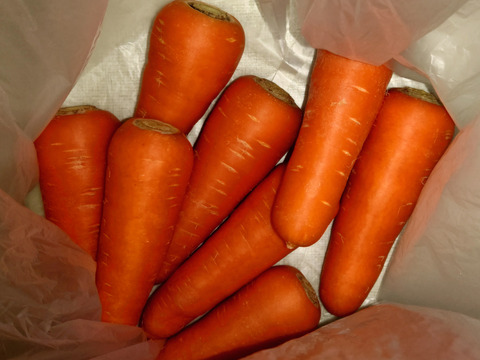 【TBSまるっと！サタデーで紹介して頂きました♪】皮ごと食べれる❗️あま〜いさんぶにんじん🥕（約2キロ）