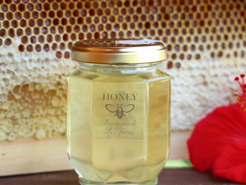 希少！宮崎産非加熱はちみつ2種（160gx2）