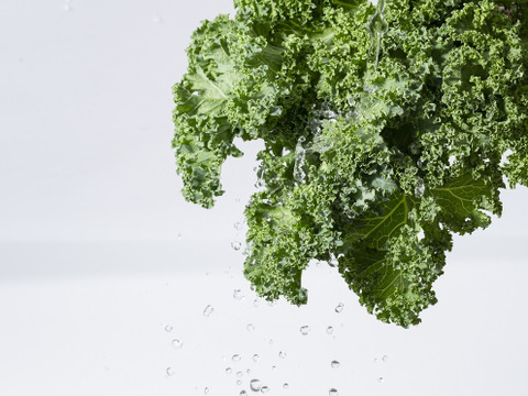 ボリューム＆栄養たっぷり！有機ケール（５種ミックス）１kg