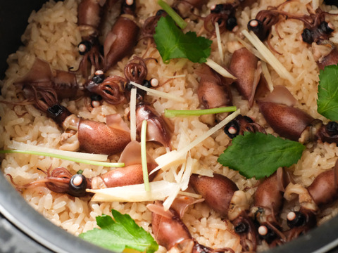 新鮮朝獲れ！獲れたて鮮度を即直送！！《富山湾》🦑生ほたるいか🦑3パック