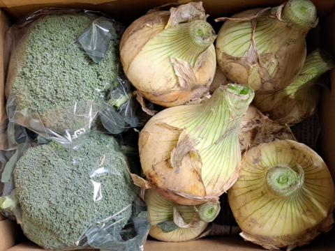 ブロッコリー2株×淡路島新玉ねぎ10個セット【野菜ソムリエサミット金賞🏆】