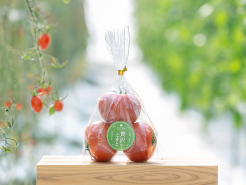濃厚！フルーツトマトジュース　1000ml