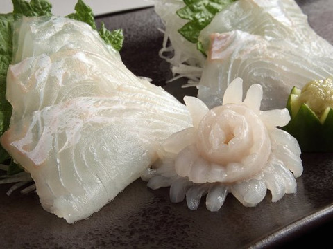 鮮度抜群！養殖ヒラメ