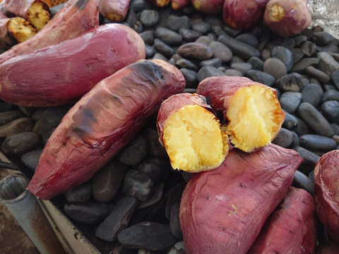 鳥取大山の麓　紅はるか5kg(大小詰め合わせ) 　女性のパワーで大地を彩る