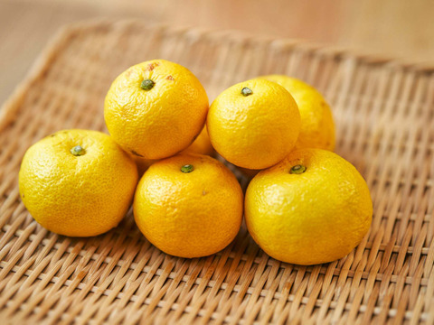 箱込約3㌔　激レア果実を出品　直七　幻の柑橘