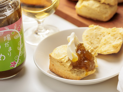 甘酸っぱい　梅ジャム 380g 栽培期間中農薬不使用 南高梅限定使用