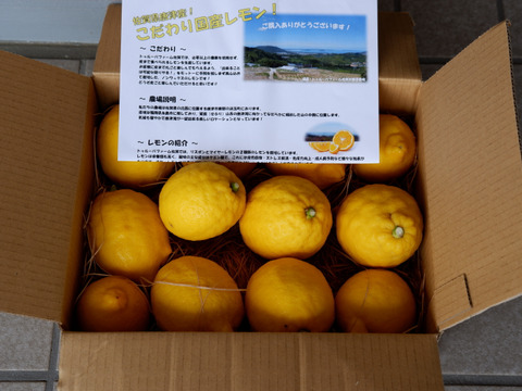 爽やかな酸味と香り！レモン「リスボン」お試しサイズ2キロ：佐賀県産