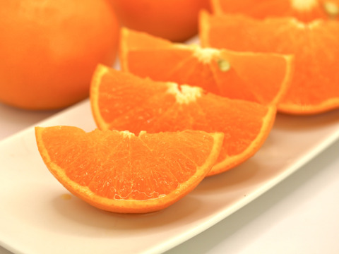 【柑橘の大トロ】あふれる果汁！きみの「せとか」 3kg