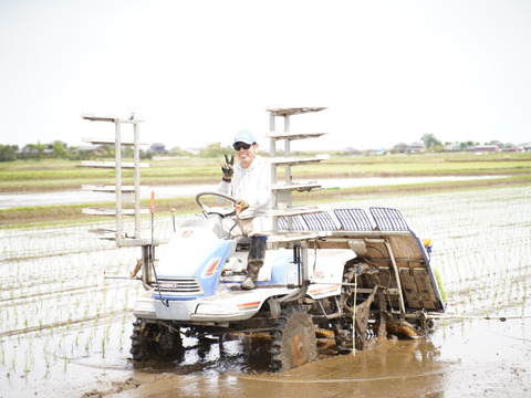 まだ間に合うクリスマス☆絶対喜ばれるおしゃれな【冬ギフト】香取市産コシヒカリ300g×3P