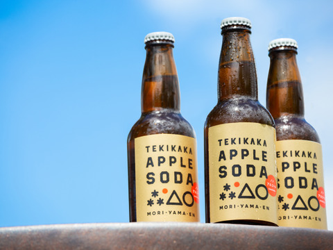 摘果りんご果汁100%＋炭酸🍏テキカカアップルソーダ🍏24本入（330ml） 砂糖・香料・保存料不使用でお子様にもおすすめ！甘さひかえめでお食事と一緒に楽しめます🍹新感覚ノンアルドリンク