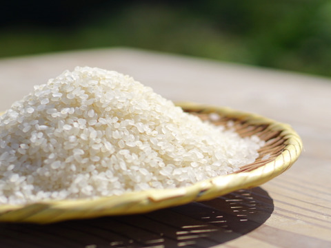 雪室貯蔵のおいしいお米（コシヒカリ白米）５kg ~農薬・化学肥料不使用~（新潟）