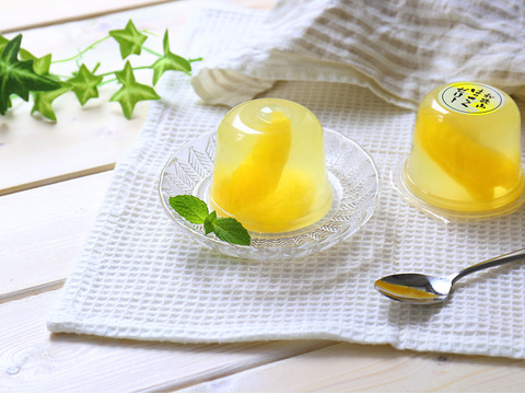 和歌山はっさくゼリーギフトセット（120ｇ×9個）【冬ギフト】