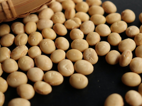 ◎自然栽培◎くるみ豆 2kg《令和6年・山形県鶴岡産》