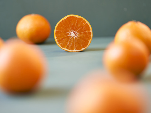 箱込約1㌔×２　マドンナ＆甘平　食べくらべセット　愛媛県オリジナルドリームタッグ　他ではないこの組み合わせ　生産者の匠の技と技術の結晶　この感動的な衝撃的なおいしさ