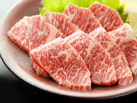 【ゲン担ぎ福袋】国産馬肉詰合せ410g！！