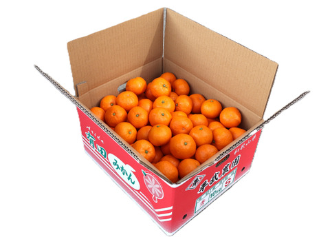 【冬ギフト】農家直送！有田みかん10kg≪Sサイズ 秀品≫【平武農園】～蛍飛ぶ町から旬の便り～　和歌山｜有田｜田口｜ギフト｜こだわり　産地直送　お取り寄せ