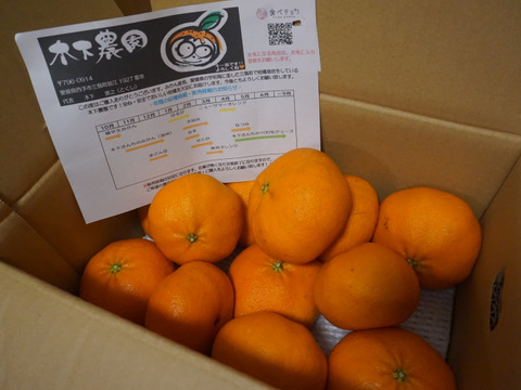 ⭐️歯切れのよさと、上品な甘さ⭐️　甘平　家庭用2.5キロ