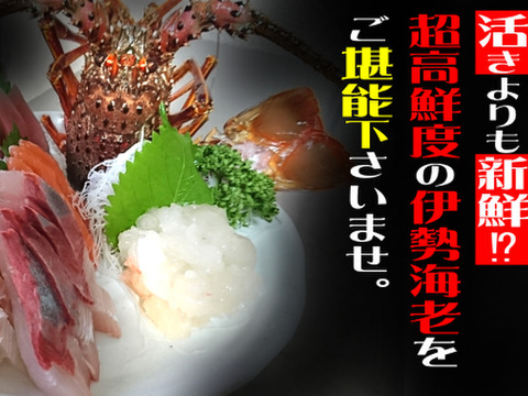 扱いやすい 活〆伊勢海老 380ｇ前後1 ２尾 100年ゆず果汁 50ｍｌ1本 高知県産の魚介類 食べチョク 産地直送 産直 お取り寄せ通販 農家 漁師から旬の食材を直送