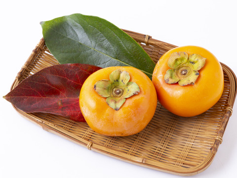 【限定200セット】秋のフルーツの王様!　富有柿 産地直送 贈答用 3kg (9個〜12個)