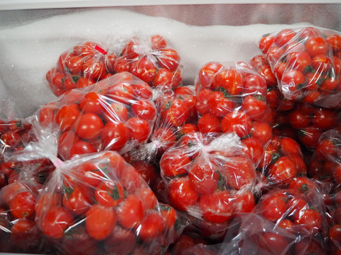 【有機肥料･農薬不使用栽培】トマト缶の代わりに体に嬉しいトマトを♡普段の料理をワンランクUP‼︎‼︎あま〜い華小町の冷凍トマト！2キロ