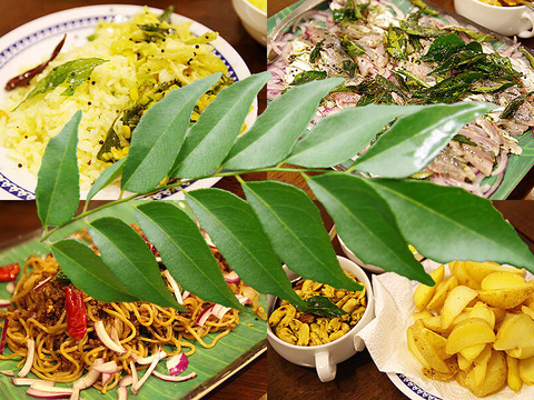 【沖縄県産、摘みたて出荷】カレーリーフ 30g