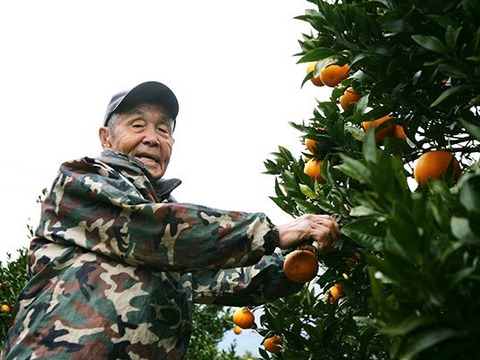 果汁たっぷり！屋久島産たんかん【ご家庭用・5kg】