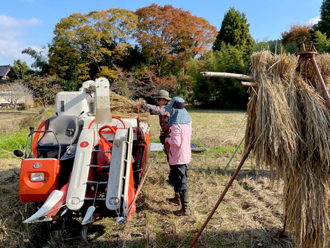 富山県氷見市（自然栽培 / こだわりの天日干し）】古代米（紫