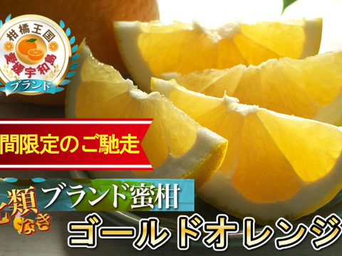 【2026年4月下旬予約】🍊期間限定の裏メニュー柑橘🍊柑橘好きなら一度は食べて頂きたい『ゴールドオレンジ』傾斜35度の崖上で収穫される希少な宇和島ブランド【お得な大容量約3kg】【家庭用・贈り物】