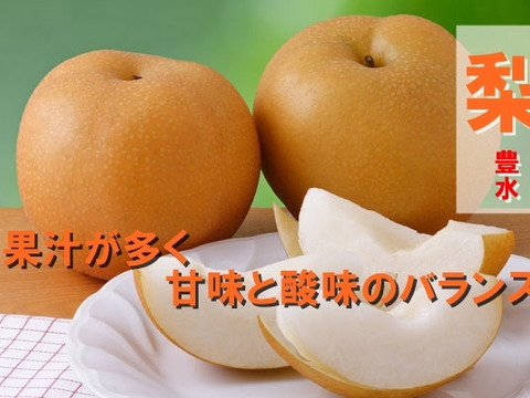 梨 3キロ 6個から11個入り 甘さあふれる旬 梨 南水 梨 秋感じる一品 冷蔵 フルーツ 果実 家庭 新高 豊水 秋泉 敬老の日 プレゼント 誕生日 お取り寄せグルメ おすすめフルーツ 和梨 訳あり