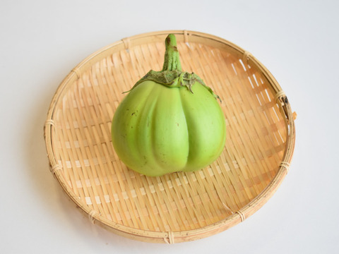 和らぎ農法　青なす（1袋）