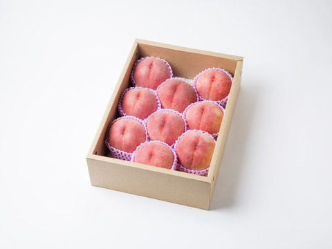 福島定番 あかつき 福島県伊達市産 3kg(9～11玉)