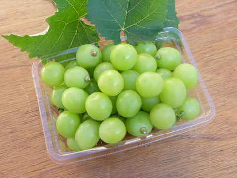 【食べる喜び・贈る喜び】★数量限定・ご家庭用★粒々シャインマスカット　1kg