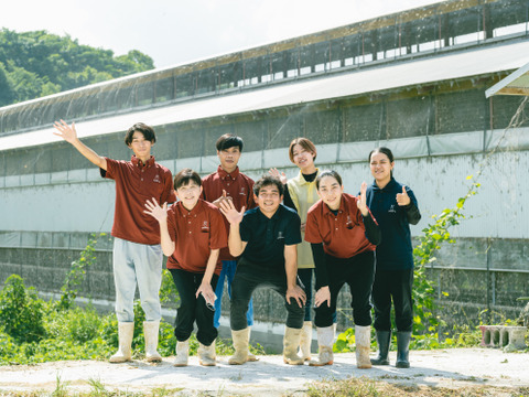 【ギフトにも】90個入り桜たまごＭサイズ（破損補償10個含む）通年常温発送【熨斗対応可】