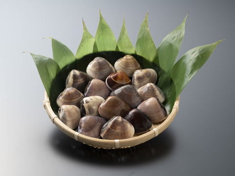 旨い‼️柔らかく、ふっくら
パスタにどーぞ♪お味噌汁も美味しいですよ(^^)
千葉県産地蛤　小サイズ1kg位入り
/17〜25個位入り