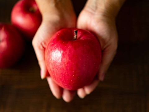 【ジューシー&甘味】味重視の方へ！個性豊かなイチ押しりんごギフト🍎 / 葉取らずサンふじ14~20玉（5kg）
