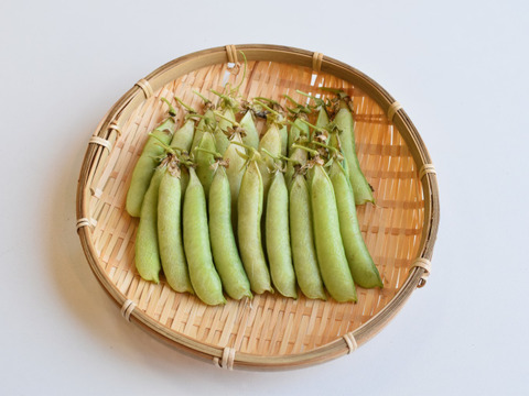 和らぎ農法　豆　グリーンピース（1袋）