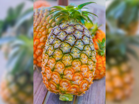 パイナップルの極み！西表島産『完熟ハワイ種(島パイン)』2㎏（2～3玉）