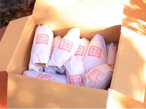 《化粧箱ver》リピーター続出【厳選】熟成安納芋（3㎏）蜜いっぱいのさつまいも🍯🍠高級感のある箱に入れ、ひとつひとつ紙に包んでお届け✨贈り物にピッタリ【冬ギフト】【お歳暮】【贈答用】熨斗承ります。