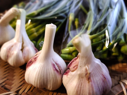 一度食べてほしい綾町産有機ニンニクのセット(おまけ付き)