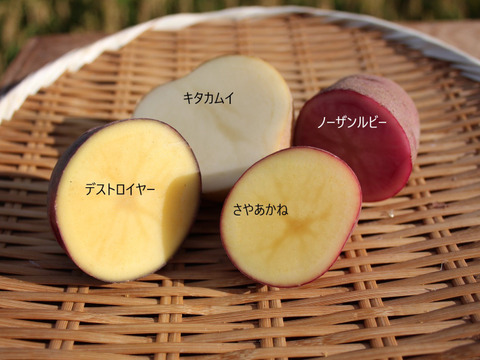 【数量限定】【北海道】ジャガイモ5種・食べ比べセット【5kg】【新じゃが】