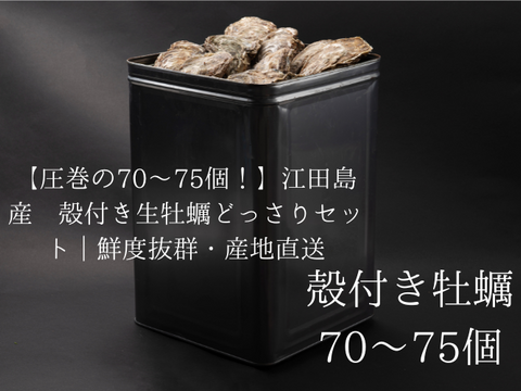 ◆◆広島・江田島直送◆復活の殻付き牡蠣（加熱用）◆１斗缶
困難を乗り越えた「魂の江田島牡蠣　　牡蠣好き必見！ 旬の味を堪能できる牡蠣◆