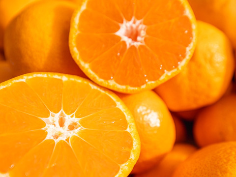 弾ける果汁！宮川早生（家庭用）みかん 5kg